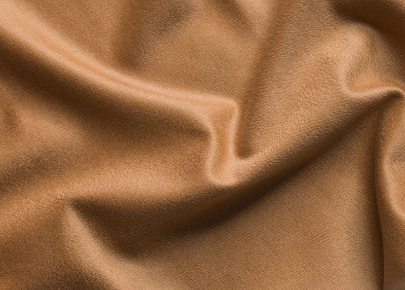 VICUÑA